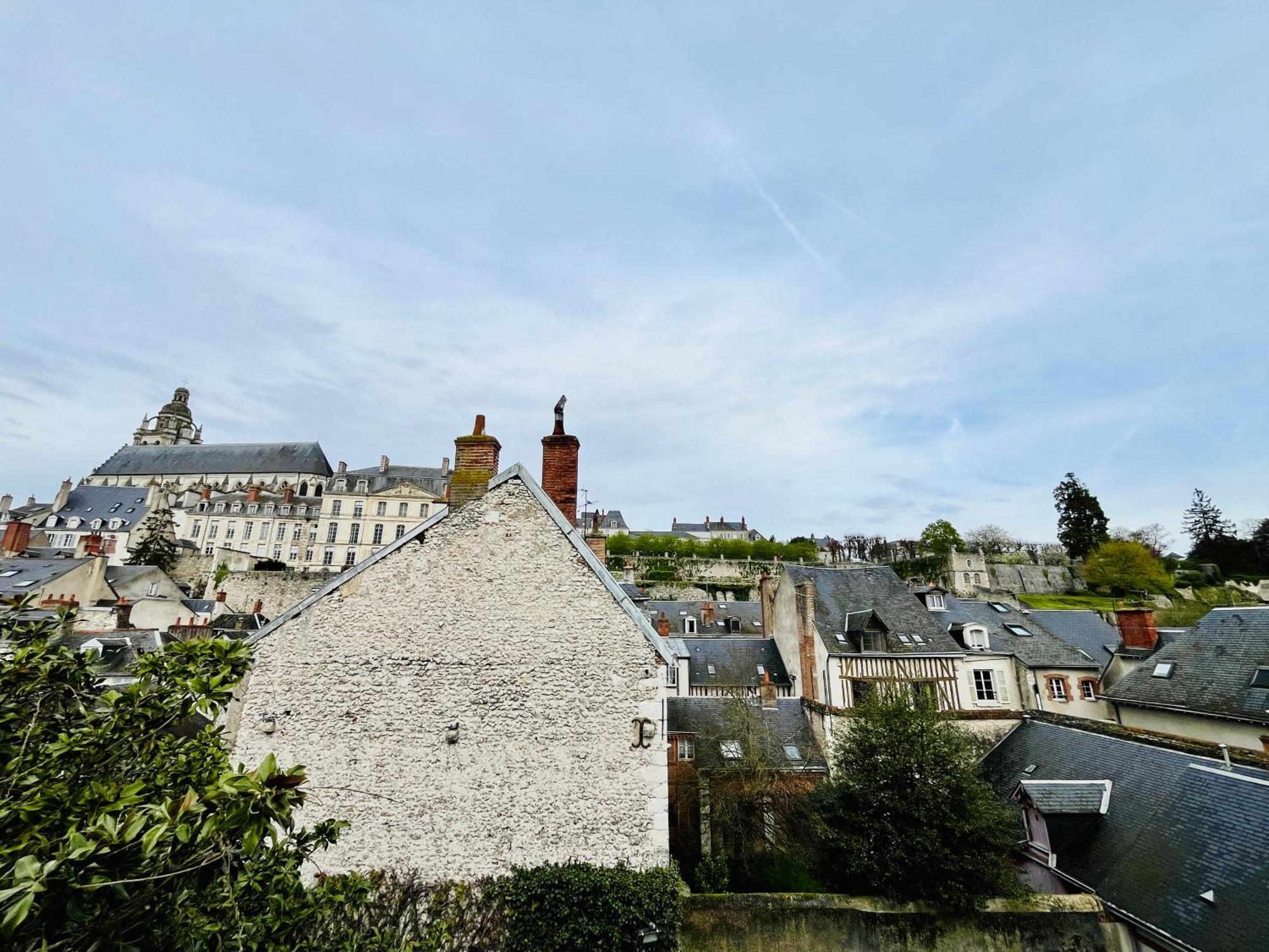 Vue Loire, Hypercentre, Spacieux, Familial, Climatise, Le Quai De Loire Lägenhet Blois Exteriör bild